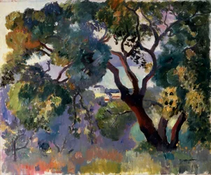 Landschaft in Saint-Tropez, 1905