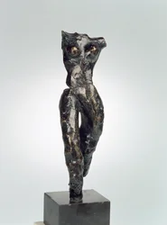 Torso