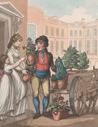 Rufe von London, Nr. 6: Alles wächst, hier sind Blumen