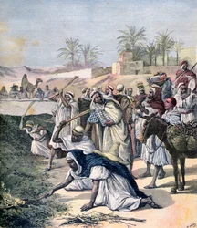 Die Heuschreckenplage, Algerien, 1891