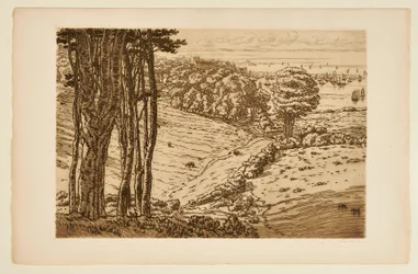 [Der Hafen von Douarnenez]