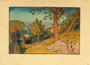 Kiefernwald in Kermarie (Loguivy)