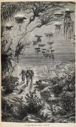 Illustration für 