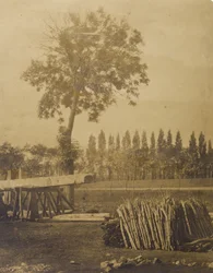 Landschaft mit Ballen von geschnittenen Baumzweigen