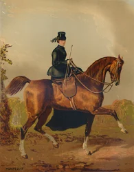 Ein Damenpferd - Das Eigentum des verstorbenen Earl of Pembroke, ca. 1840er Jahre