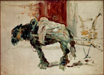 Pferd von Celeyran