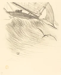 Die Seeschwalben