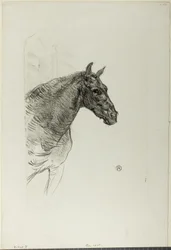 Philibert das Pony