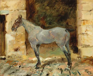 Angebundenes Pferd