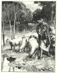 Ein Hirte und seine Herde im Anti-Libanon