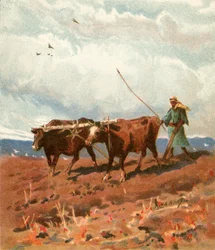 Pflügen