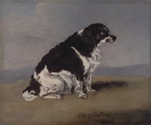 Der Spaniel der Herzogin von York