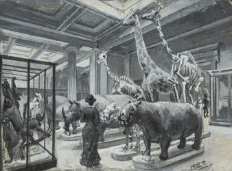 Innenansicht des Britischen Museums mit der Galerie mit Tierausstellungen, ca. 1880