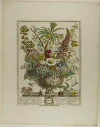 Dezember, aus Zwölf Monate der Blumen