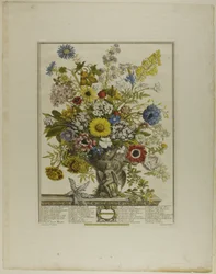 November, aus Zwölf Monate der Blumen