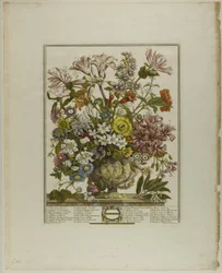 Oktober, aus Zwölf Monate der Blumen