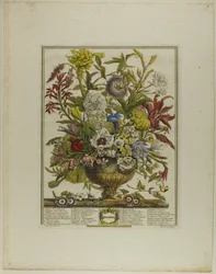 September, aus Zwölf Monate der Blumen
