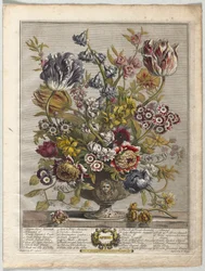 Zwölf Monate der Blumen: April