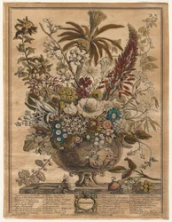 Zwölf Monate der Blumen: Dezember