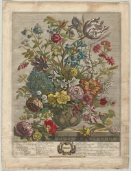 Zwölf Monate der Blumen: Mai
