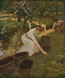 Pflaumen sammeln, 1901