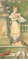 Die Prinzessin und ihre Tauben