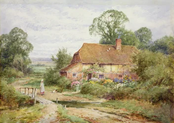 Die Hühner füttern