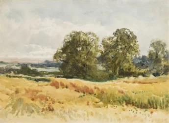 Erntefeld, ca. 1910
