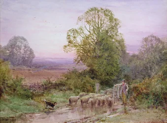 Schafe hüten