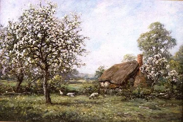 Hütte im Frühling
