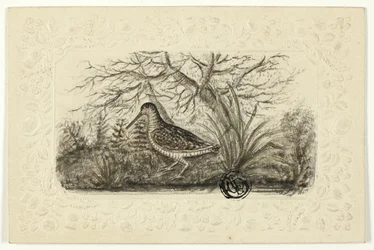 Birkhuhn