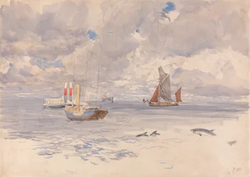 Schweinswale, 7. Juli 1883