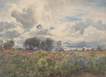 Regnerischer Juni, Picardie