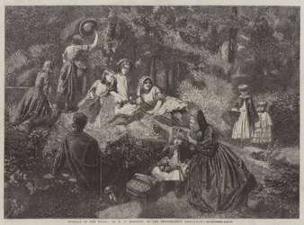 Ferien im Wald