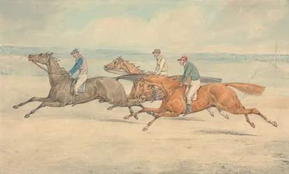 Drei Rennpferde mit Jockeys im Galopp als Gruppe nach links