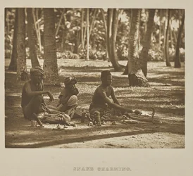 Schlangenbeschwörung