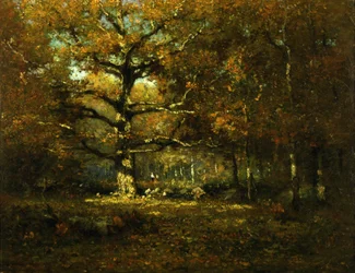 Connecticut-Wälder, 1899