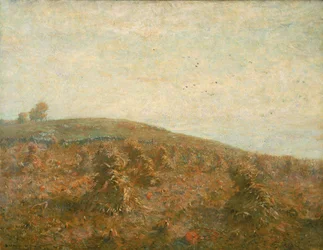 Das Kornfeld