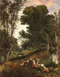 Gegen Abend im Wald