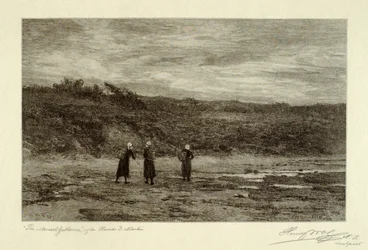 Muschelsammler