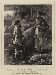 Das Gesetz und die Dame, ein Roman