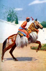Ein arabisches Tanzpferd, Udaipur, Indien, 1922