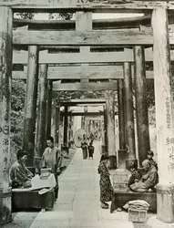 Eine Allee von Torii in Inari, 1910