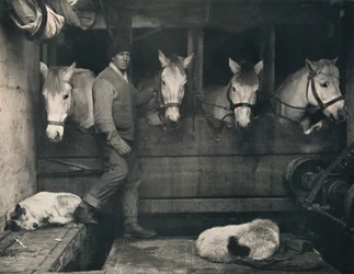 Kapitän Oates auf der Terra Nova mit den sibirischen Ponys, um 1911, 1914