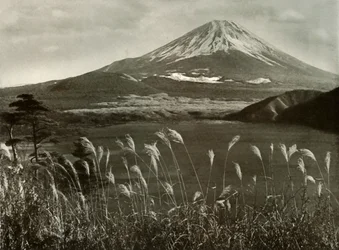 Fuji und das Kaia-Gras, 1910