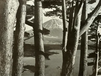 Fuji und die Kiefern, 1910