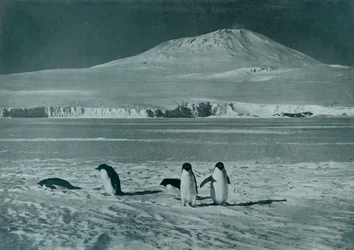Mount Erebus, um 1911, 1913