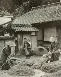 Bäuerinnen beim Gerstenschneiden, 1910