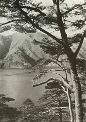 Das Hotel am See, Shoji, 1910