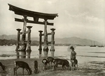 Das alte Torii in Miyajima, 1910